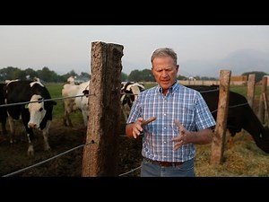 The Tale of the Ox and the Yoke