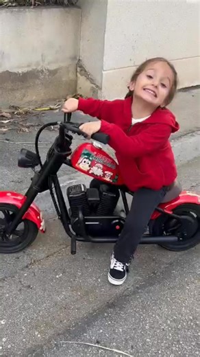 16K views · 104 reactions | Best Price of the Year: Just $299! That day is quietly approaching... ✨ What better way to roll into the holiday season than with a little Christmas vroom! Let’s make this Christmas unforgettable! : @gorila48sportster | Hypergogo | Facebook