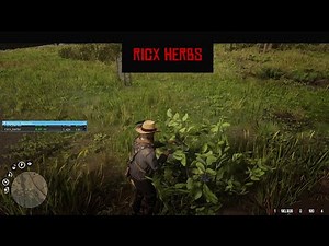 RedM Script - RicX Herbs - RedEMRP & VORP framework