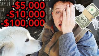 Estimating Farm Profits and Potential Losses This Year