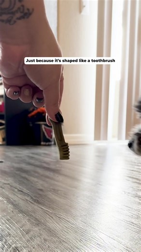 29 reactions | Your pet’s smile deserves just as much care as your...