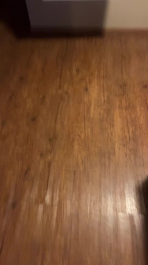 Eleanor (@ehughes33)’s videos with Victor You Actually Did This - RjLiveTv