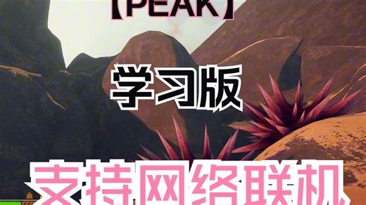 【PEAK】最新学习版，支持网络联机