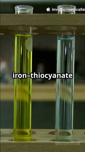 Revolutionary Fluoride Detection Method Unveiled! #sciencefather
