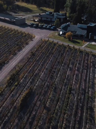 367K views · 568 reactions | Día 1 del Off-Road Expedition junto a @‌memimanda.⁠ ⁠ Un evento exclusivo para usuarios Raptor donde los clientes llevaron sus pick-ups al máximo nivel.⁠ ⁠ #fordargentina #razafuerte #Raptor #fordperformance | Ford Argentina | Facebook