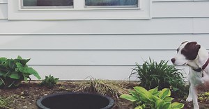 One of the Easiest (and Coolest) DIY Water Features