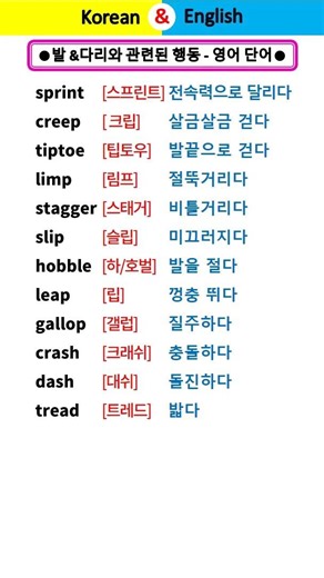 #English #기초 영어 #영어 단어 # Korean #한글 # Korean language #한국어 #vocabulary #발음기호 #pronunciation #shorts