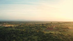 Food systems: supporting the triangle of food security