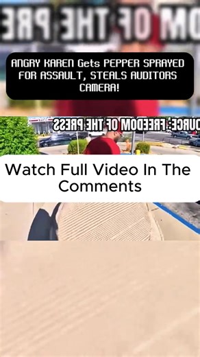 8.8K views · 26 reactions | Angry Karen Pepper-Sprayed After Assault — Then Steals Auditor’s Camera | Audit Raid | Facebook