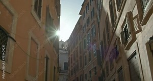 A slender passageway flanked by towering buildings, adorned with windows, fixtures, and composed of various building materials, overlooks a tree-lined facade, houses, and plants