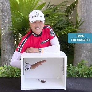 53K views · 1.1K reactions | "I want to see! I hate this!" 藍 Jin Young Ko overcomes her fears as she blindly tries to guess "What's in the Box!" 荒 | LPGA | Facebook