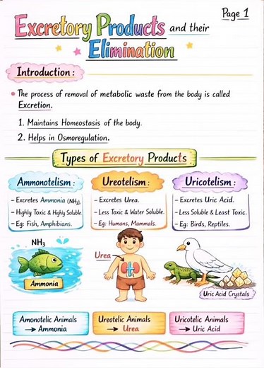 Excretory products and their elimination 💨🌬️🫁 #biology #neet #aiims .