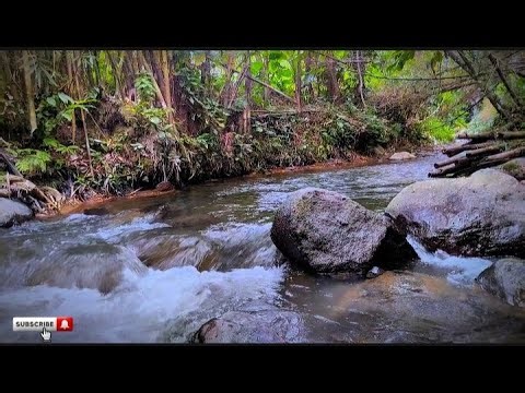 Running Water Soft Relaxation Sounds | White Noise for Sleep, Studying, Focus