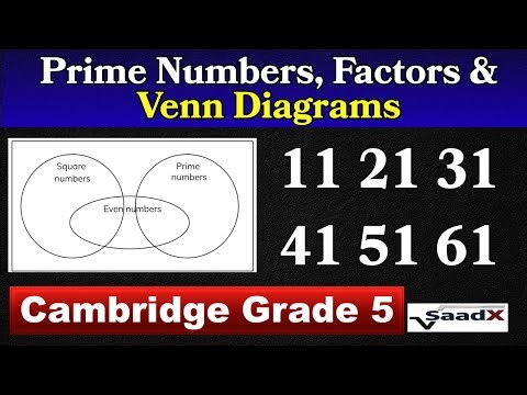 Cambridge Primary Math Grade 5 | Ex-3.3 | Prime Numbers, Factors & Venn Diagrams |