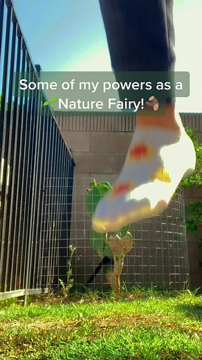 Discover the Magic of Nature Fairies: Powers, Plants, and More!