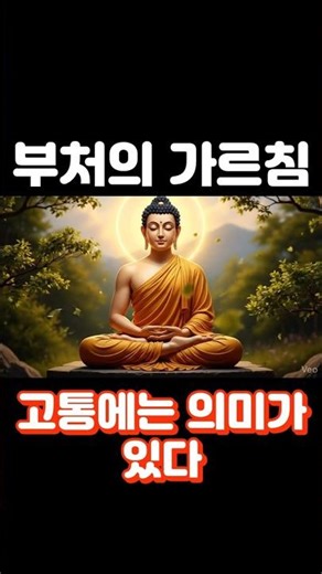 고통에는 의미가 있다. 부처의 가르침 #명언 #부처의말씀 #긍정적마인드
