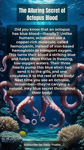 The Alluring Secret of Octopus Blood