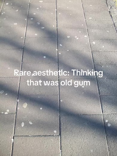 Minh (@daninatran)’s video of gum