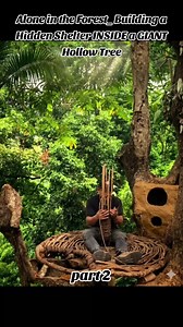 Alone in Forest: Building Hidden Shelter Inside Giant Tree (Part 1)