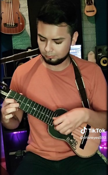 Este intro es muy dulce 🎵🎶 #buscame_en_tu_soledad #williamluna #huayno_peruano #charango #folkloreperuano #folk #buscame #coverfolk #culturaindigena #uio🇪🇨 #introcharango #cristhianreyes #duofolk