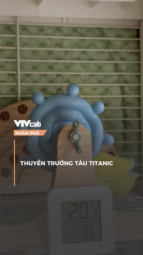 Thuyền trưởng tàu Titanic #vtvcab #khampha #vtvcabkhampha #onlive #vtmc
