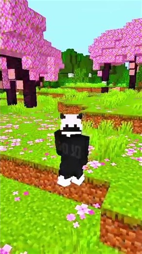 top 3 overlays video website for free 😁...