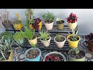 "Virtual Garden Tour 2025 | Beautiful Nature, Flower Gardens & Relaxing Nature Sounds"#nature