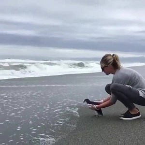 Rescued penguin set free but hesitates to go, and now I’m broken inside 😢 "After rehabilitation due to exhaustion and a head wound from plastic netting, this blue penguin adult was released back where it was found. Once beyond the breakers, it swam out far and strongly. A good outcome for this penguin " -@kaikourawildliferescue | theCHIVE