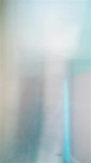 SANS V3.3 trên TikTok