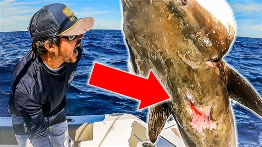 This Fishing Trip Got Completely Out of Control