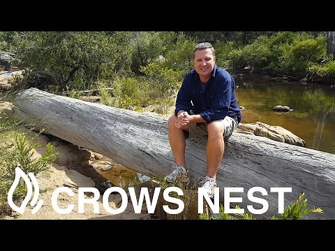 Crows Nest Campground - Crows Nest National Park, Queensland