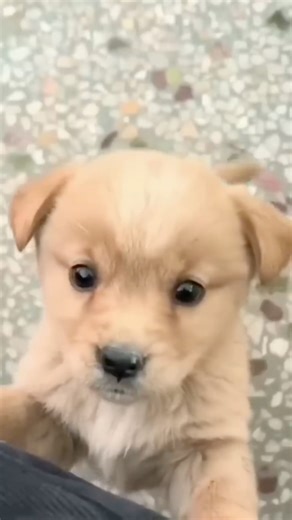 New Cool Tool!& 🥰New Viral Gadgets, Smart Kichen Appliances, Tolls, Utensils, HomeCleaning shorts😻