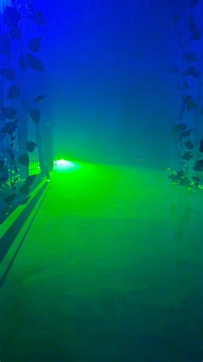 Frightmare Home Haunts - Swamp Room #hauntedhouse #spooky #fyp