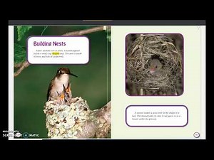 Animals Building Homes