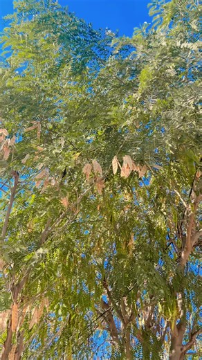 #♥️♥️♥️♥️♥️👌👌👌👌🌹🌹🌹🌹❤️‍ #bbbbbbbbbbbbb🥰🥰🥰🥰🥰🥰🥰🥰pppppppppllp #♥️♥️♥️♥️♥️👌👌👌👌🌹🌹🌹🌹❤️‍