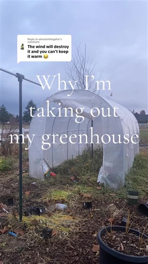 Enhancing My Greenhouse with Heating Solutions
