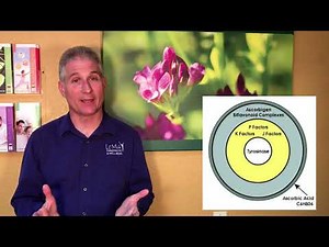 Your Vitamin C could be Killing You: Vitamin C vs Ascorbic Acid: Part 1