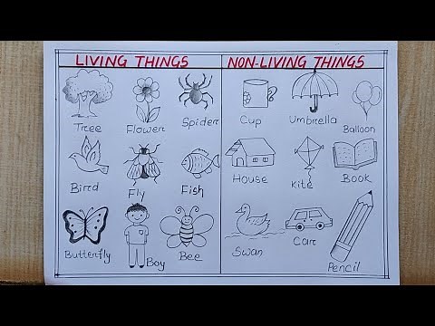 Living Things and Non-living things drawing easy| How to draw Living and Non-living things Chart