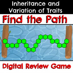 Genetics Digital Review Game - Find the Path
