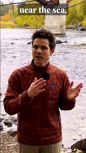 How to Re-Mineralize Your Soil NATURALLY