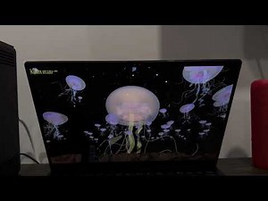 Passmark full benchmark on Asus Zenbook 14 OLED (2025)