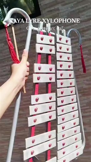 Explore the Complete Lyre Xylophone Set Today