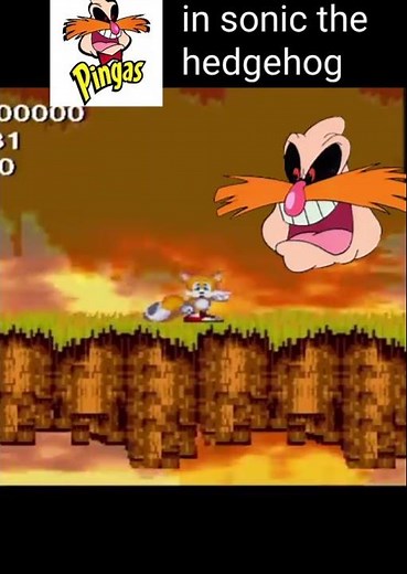 The Pingas Monster is in Sonic the hedgehog ?