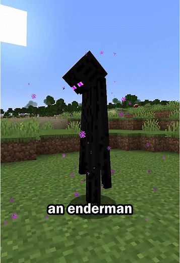 Utilizando Endermites para Farmear Pearls en Minecraft