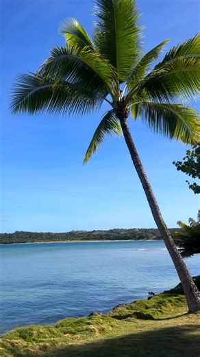 Escape to a private island paradise where golden beaches, turquoise waters, and five-star luxury await! 🩵 Indulge in all-inclusive dining, a beachside massage, sparkling wine on arrival & more. Travel until 11 October 2026. Book now > http://bit.ly/3IdETcB | Luxury Escapes