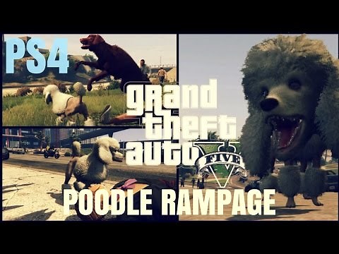 GTA 5 Peyote Location | POODLE PS4 Gameplay 1080p HD