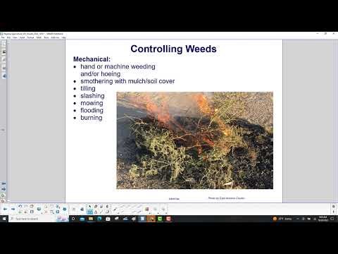Methods of Weed Management