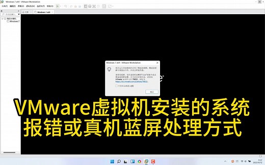 Vmware Workstation虚拟机安装操作系统报错或真机蓝屏故障处理