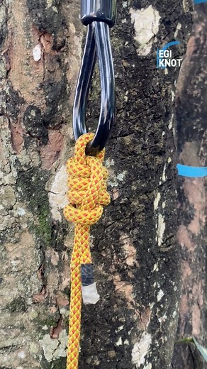 This knot is commonly used by anglers #diy #KnotlessBraids #outdoors #viral #fblifestyle #tutorial | Egi Knot