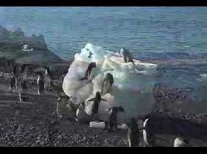 Antarctica in 5 minutes